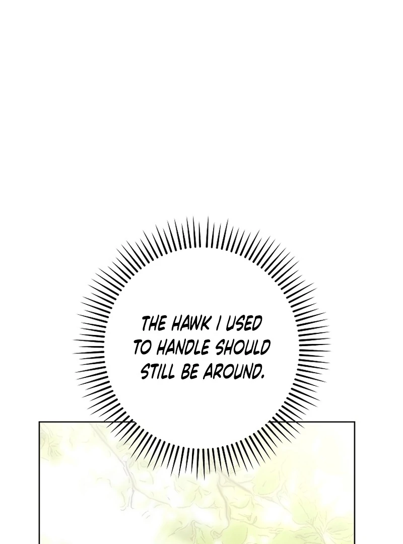 Shards of a Broken Glass Slipper Chapter 23 - page 45