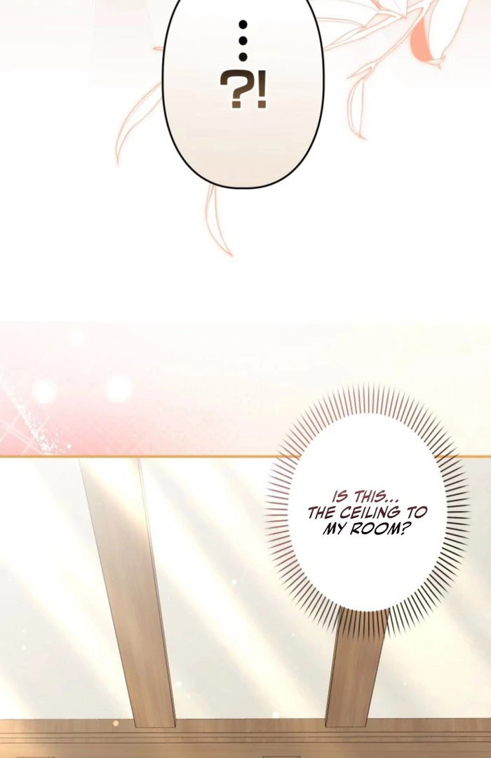 The Death-Loop Princess Ended Up as the Tyrant’s Personal Chef Chapter 22 - page 97