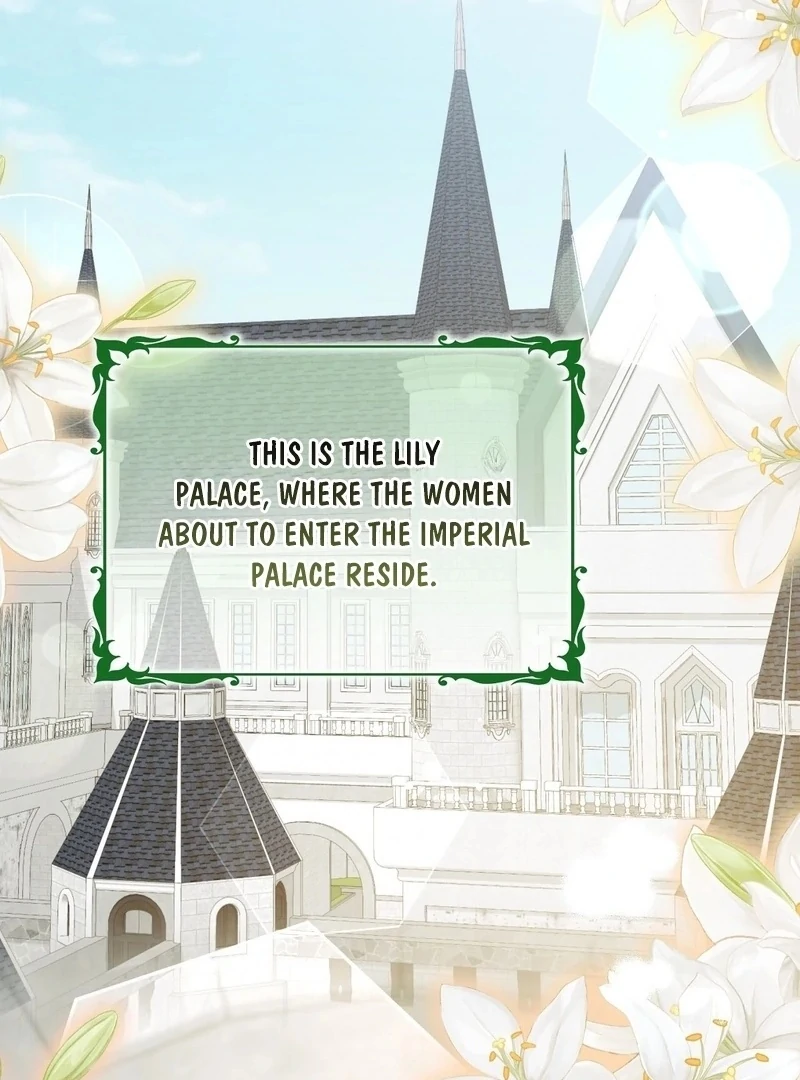 I Want My First Time With a Handsome Knight Chapter 0.1 - page 2