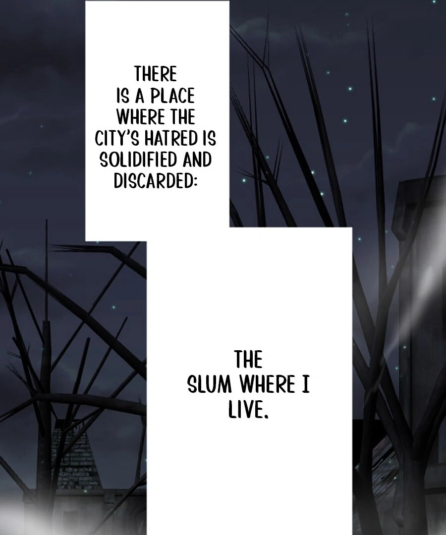 The Solitary Flower ~The Slum Girl Becomes a Princess and is Single-Mindedly Adored~ Chapter 1 - page 27