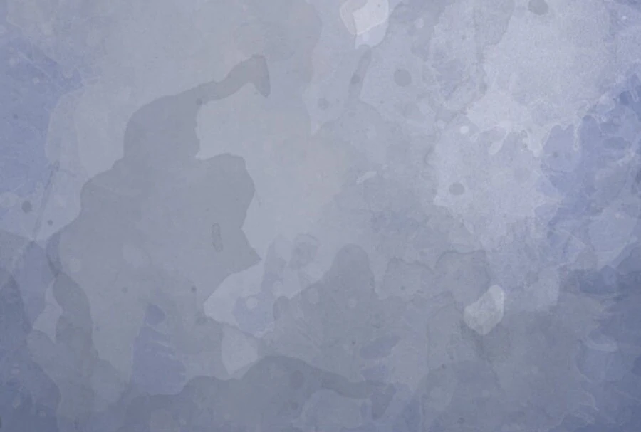 The Solitary Flower ~The Slum Girl Becomes a Princess and is Single-Mindedly Adored~ Chapter 2 - page 9
