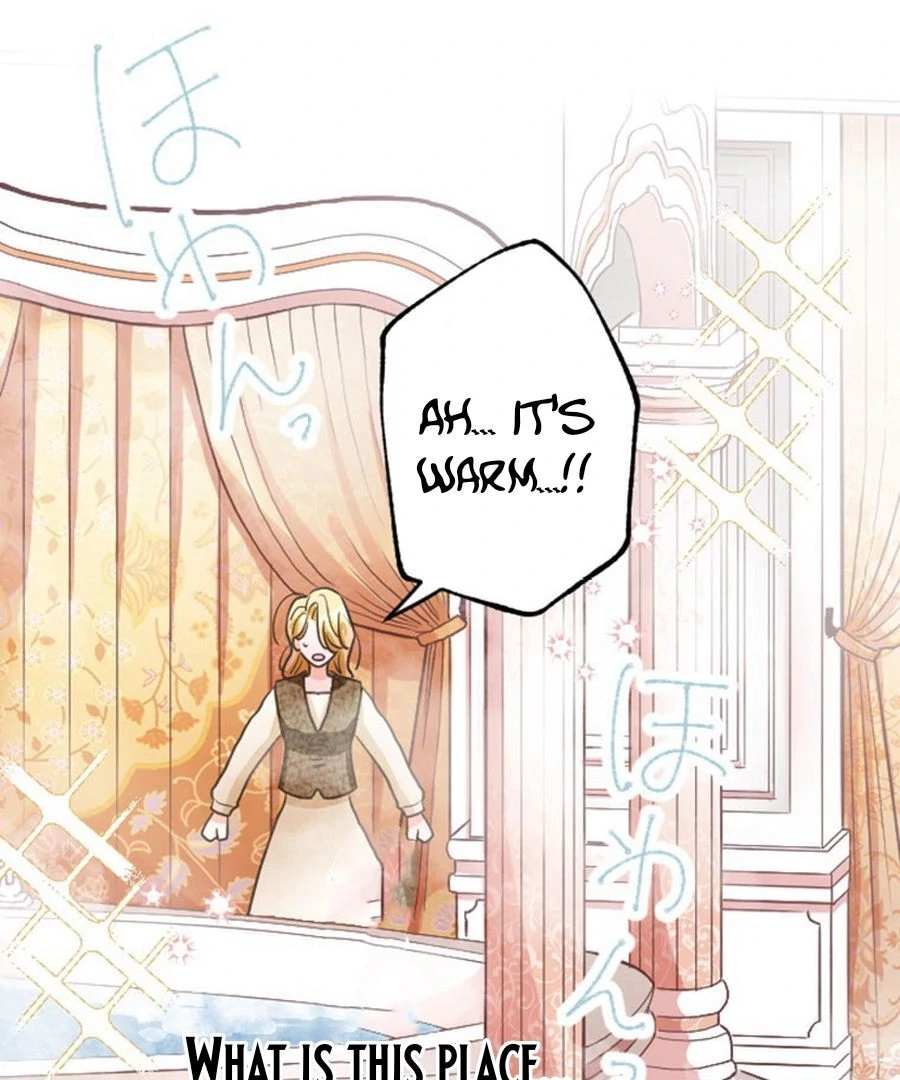 The Solitary Flower ~The Slum Girl Becomes a Princess and is Single-Mindedly Adored~ Chapter 3 - page 13