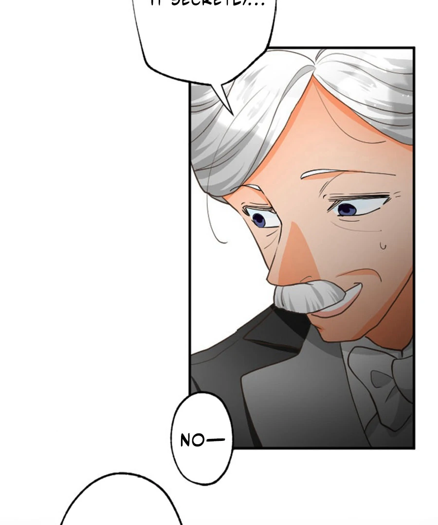 The Solitary Flower ~The Slum Girl Becomes a Princess and is Single-Mindedly Adored~ Chapter 6 - page 33
