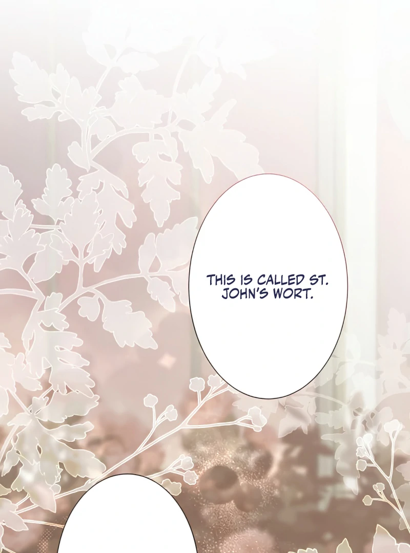 The Hidden Prince Who Loved Me Chapter 4 - page 25