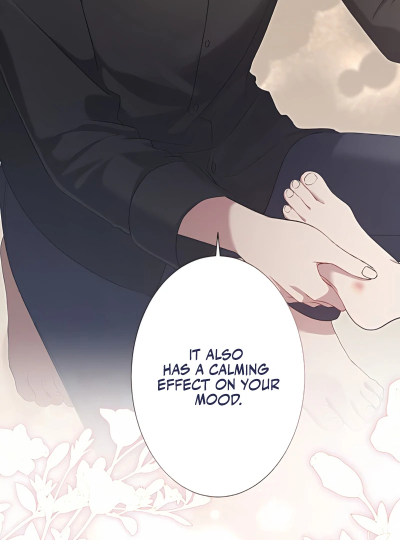 The Hidden Prince Who Loved Me Chapter 4 - page 27