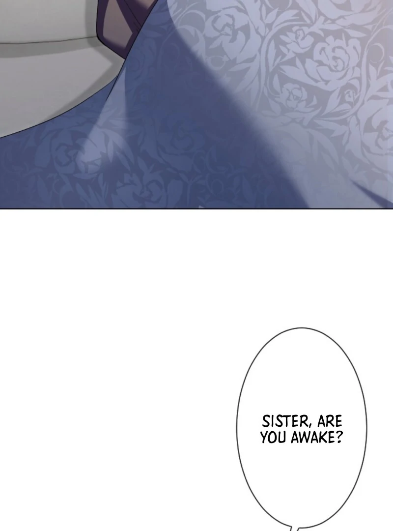 Behold The Perfect Villainess Chapter 1 - page 24