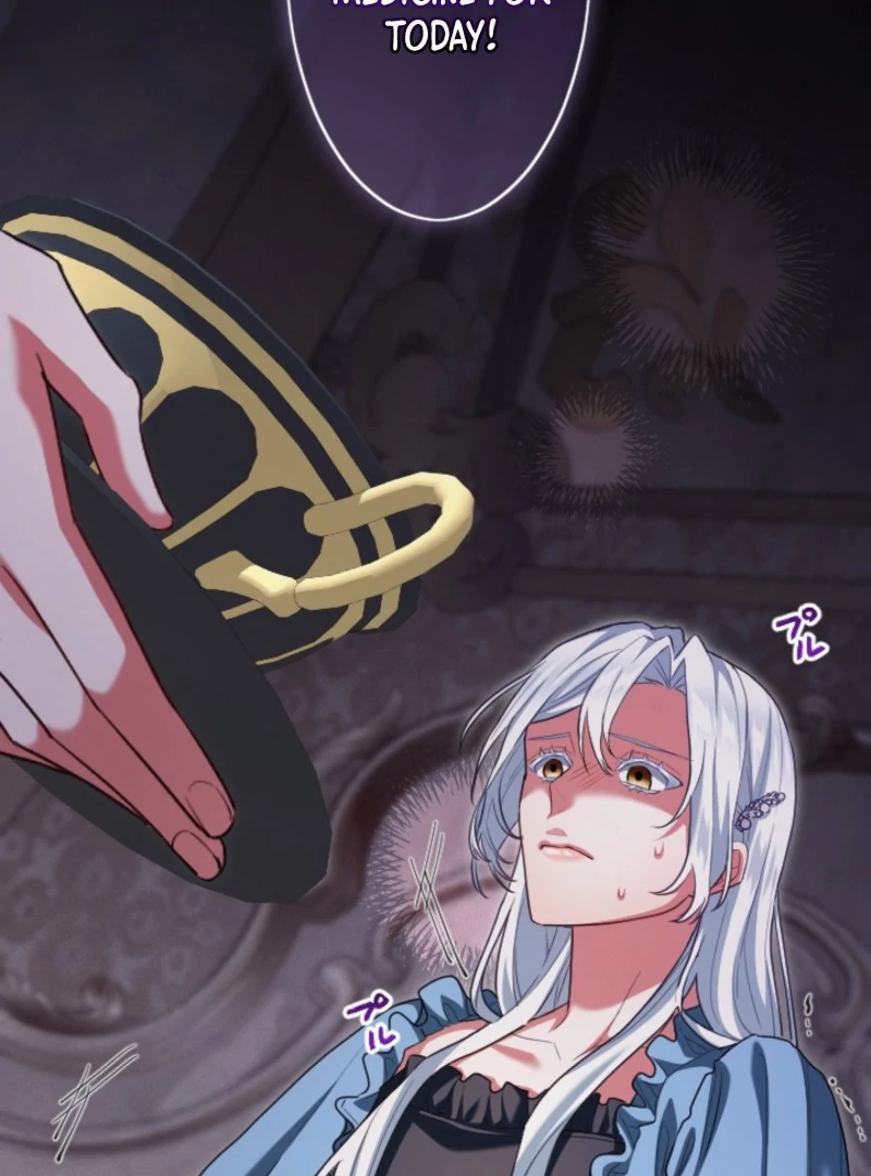 Behold The Perfect Villainess Chapter 3 - page 17