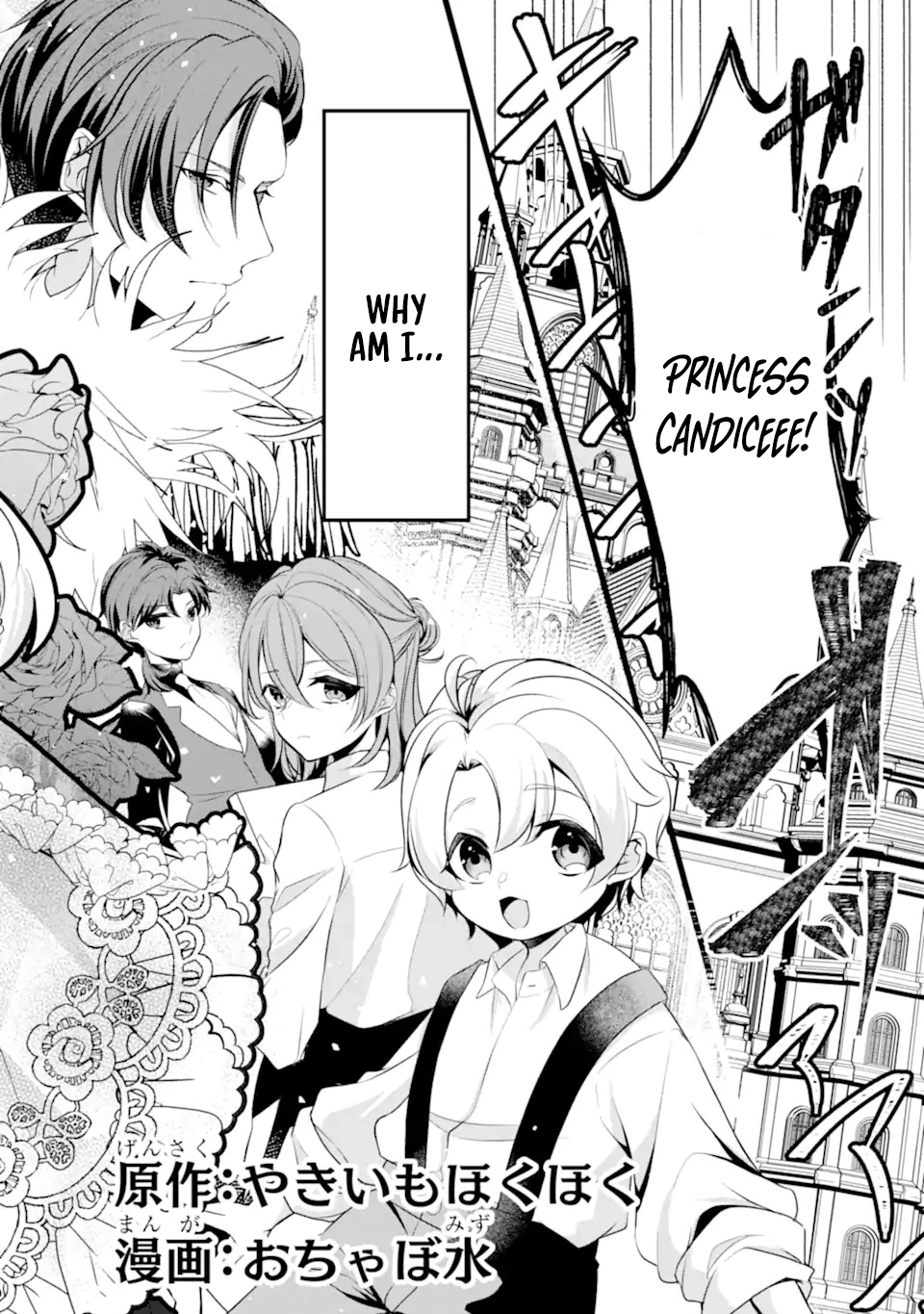 The Evil Princess Will No Longer Kill Anyone Chapter 1 - page 3