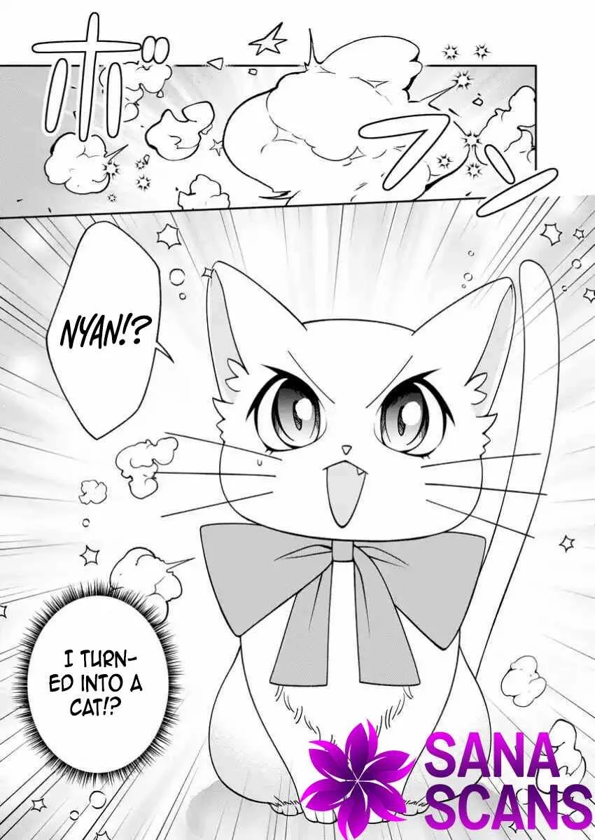 I’m Living Happily, So Please Leave Me Alone! Chapter 2 - page 30