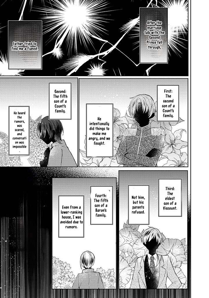 The Fake Lady’s Revenge: Engaged to Five Noble Sons for Vengeance Chapter 2 - page 16