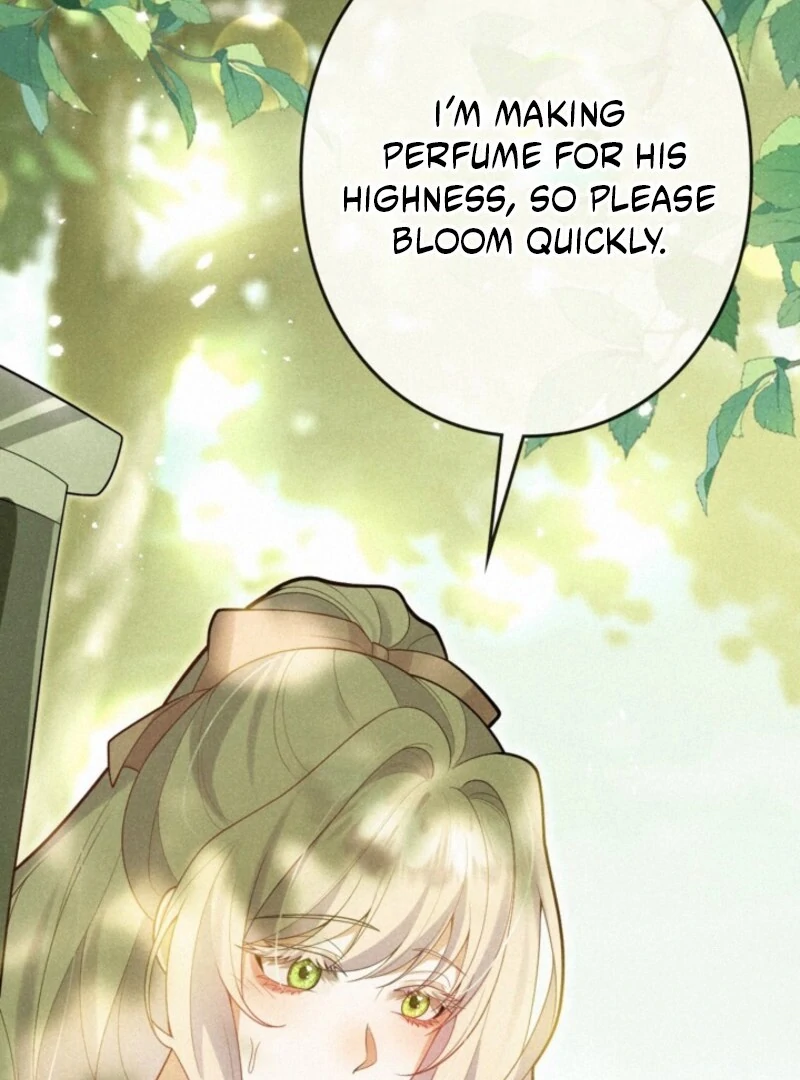 I’m an Exiled Single Mother, but the Crown Prince Became Obsessed With Me Chapter 11 - page 15