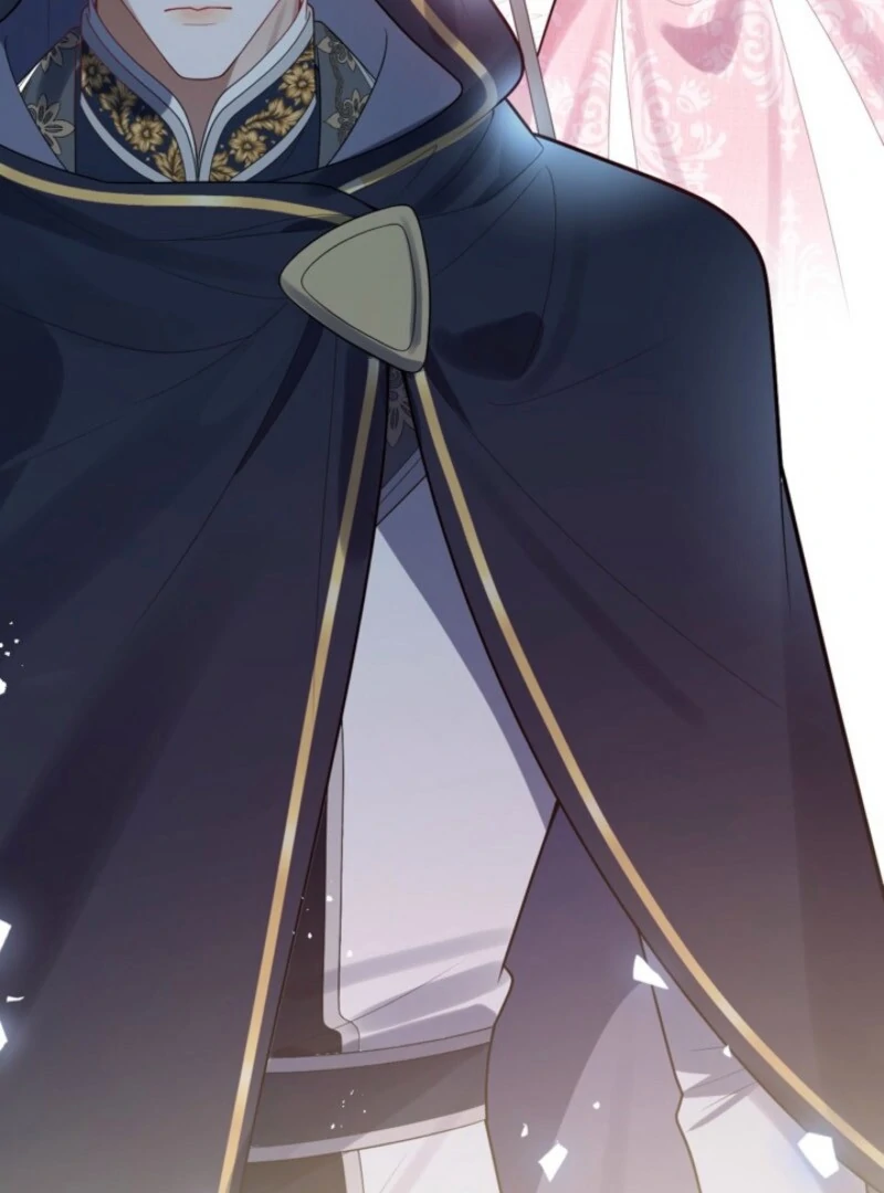 I’m an Exiled Single Mother, but the Crown Prince Became Obsessed With Me Chapter 11 - page 8