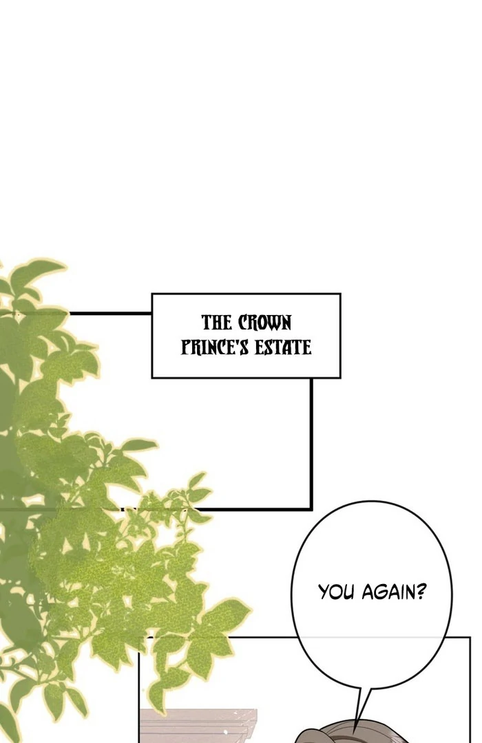 I’m an Exiled Single Mother, but the Crown Prince Became Obsessed With Me Chapter 19 - page 2