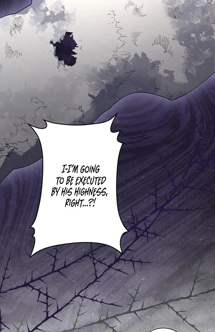 The Obsessed Young Prince Loves the Unlucky Princess Too Much! Chapter 10 - page 107