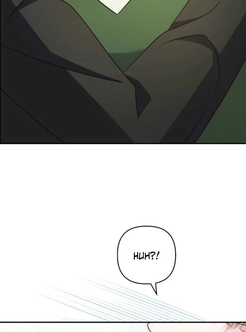 Becoming the Guide of the Mysophobic Villain? Absolutely Not! Chapter 9 - page 91