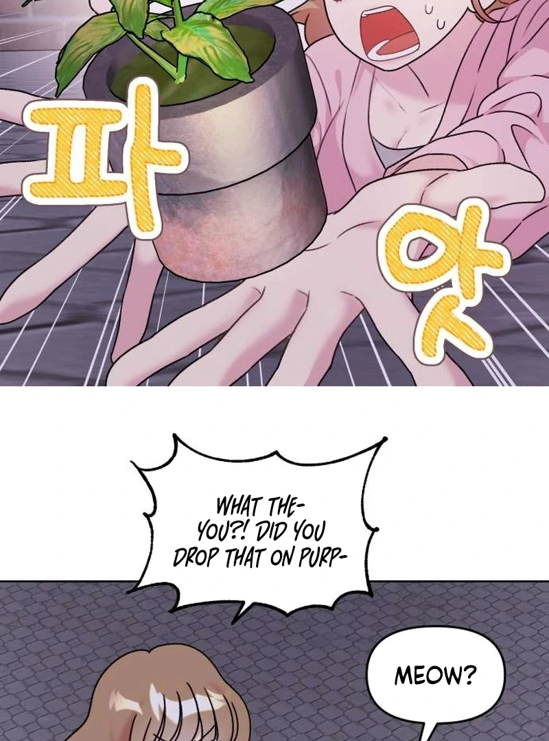 Meow-Meow Squeak-Squeak! Chapter 4 - page 11