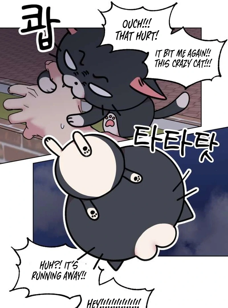 Meow-Meow Squeak-Squeak! Chapter 4 - page 28