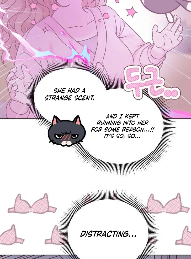 Meow-Meow Squeak-Squeak! Chapter 4 - page 40