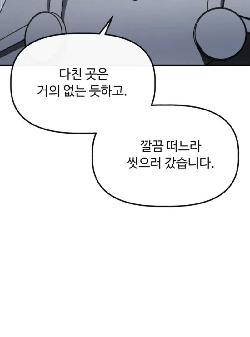 The Maid and the Usurper Chapter 18 - page 47