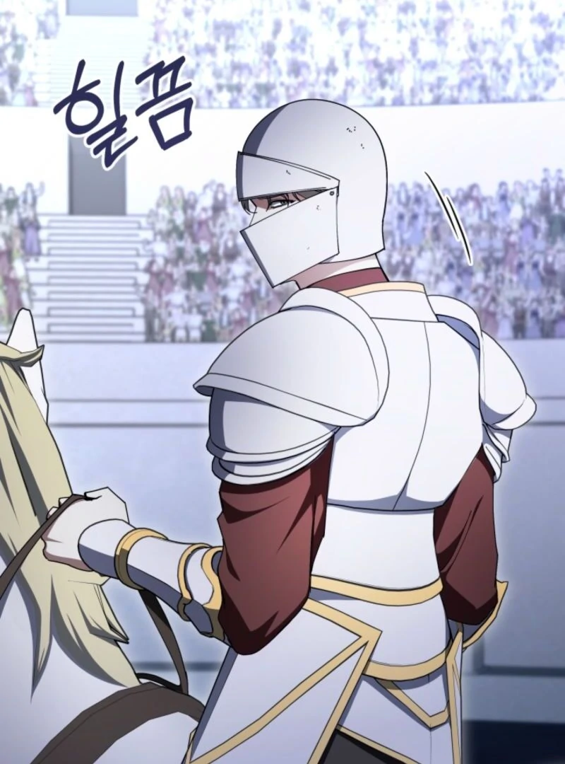 The Maid and the Usurper Chapter 19 - page 15