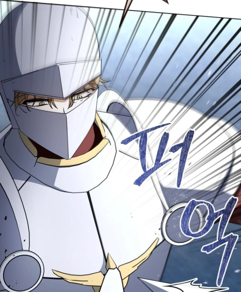 The Maid and the Usurper Chapter 19 - page 47