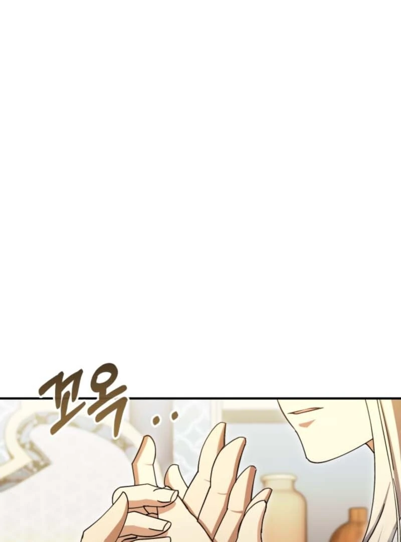 The Maid and the Usurper Chapter 20 - page 17