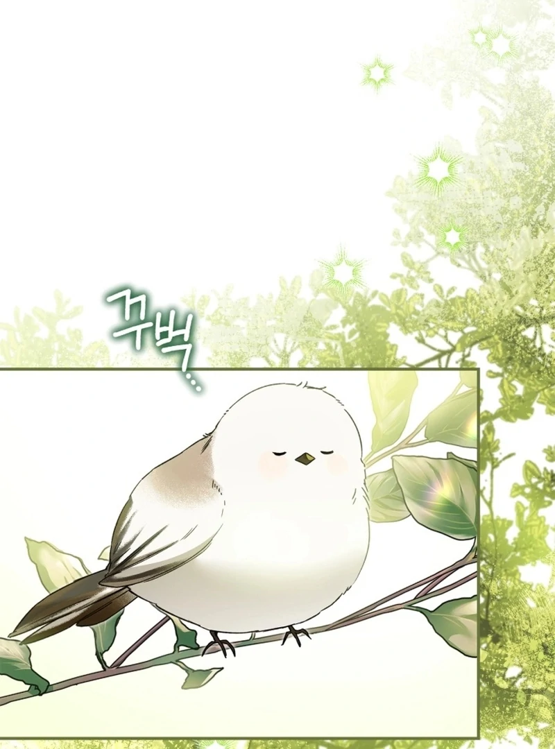 I Got Engaged To The Blind Duke Chapter 8 - page 60