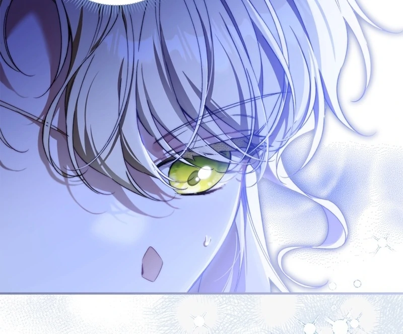 I Got Engaged To The Blind Duke Chapter 3 - page 17