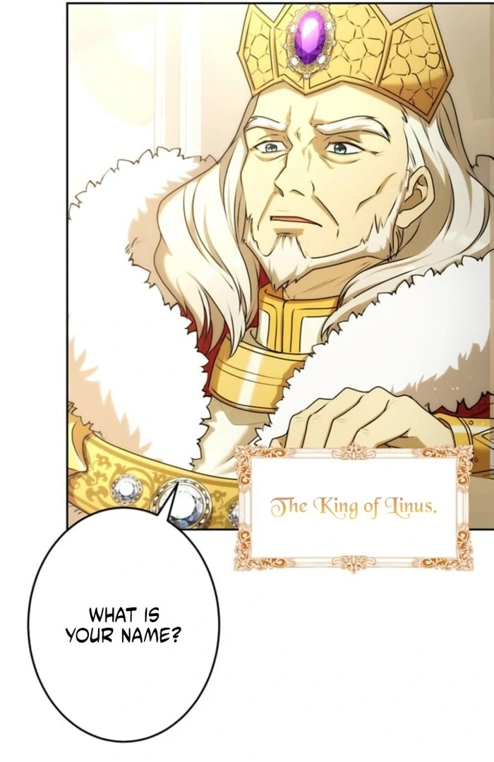 You Don't Mind If I Destroy This Kingdom, Right? The Pure White Saintess Vows Revenge Chapter 1 - page 48