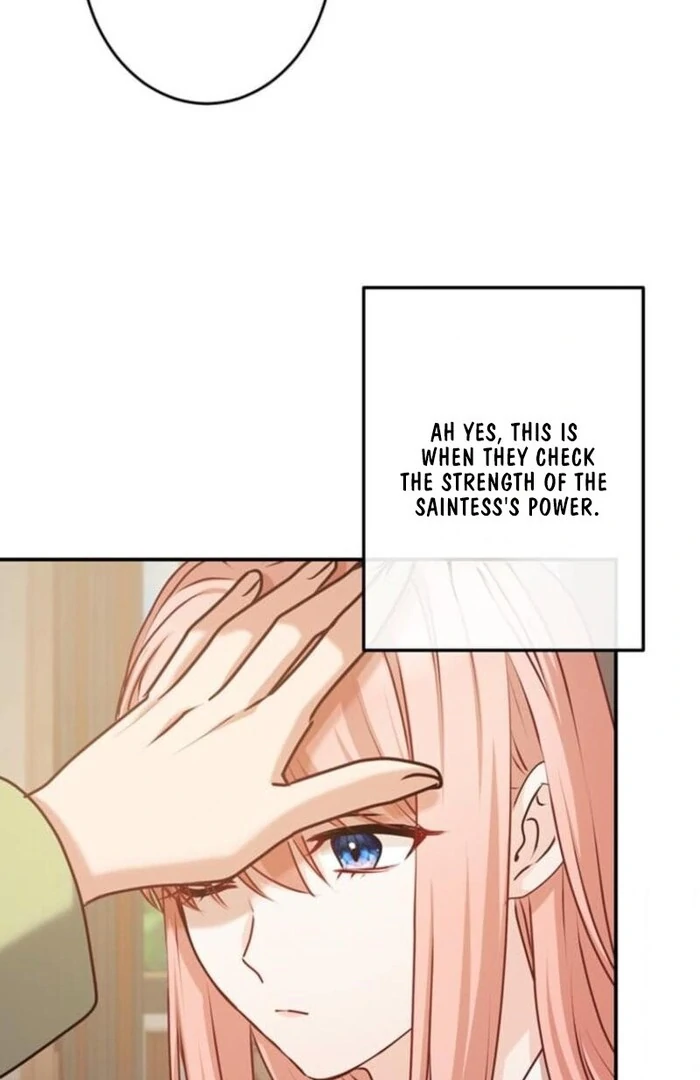 You Don't Mind If I Destroy This Kingdom, Right? The Pure White Saintess Vows Revenge Chapter 4 - page 12