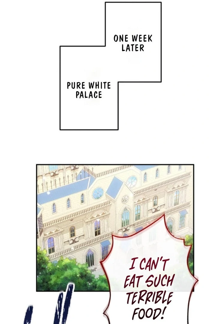 You Don't Mind If I Destroy This Kingdom, Right? The Pure White Saintess Vows Revenge Chapter 8 - page 9
