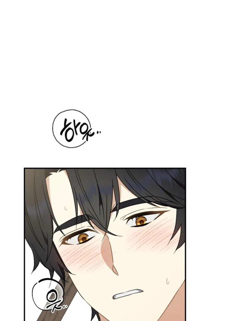 Don’t Feed Cookies to a Starving Wolf Chapter 4 - page 41