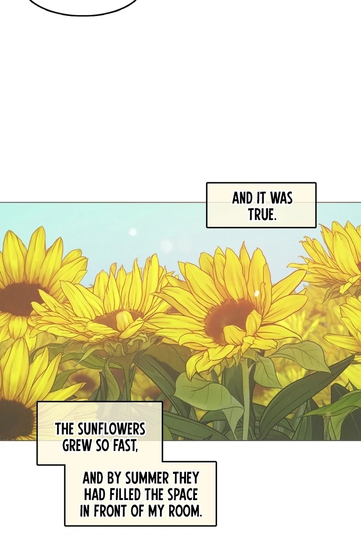 In the Season When Sunflowers Whisper Chapter 6.5 - page 11