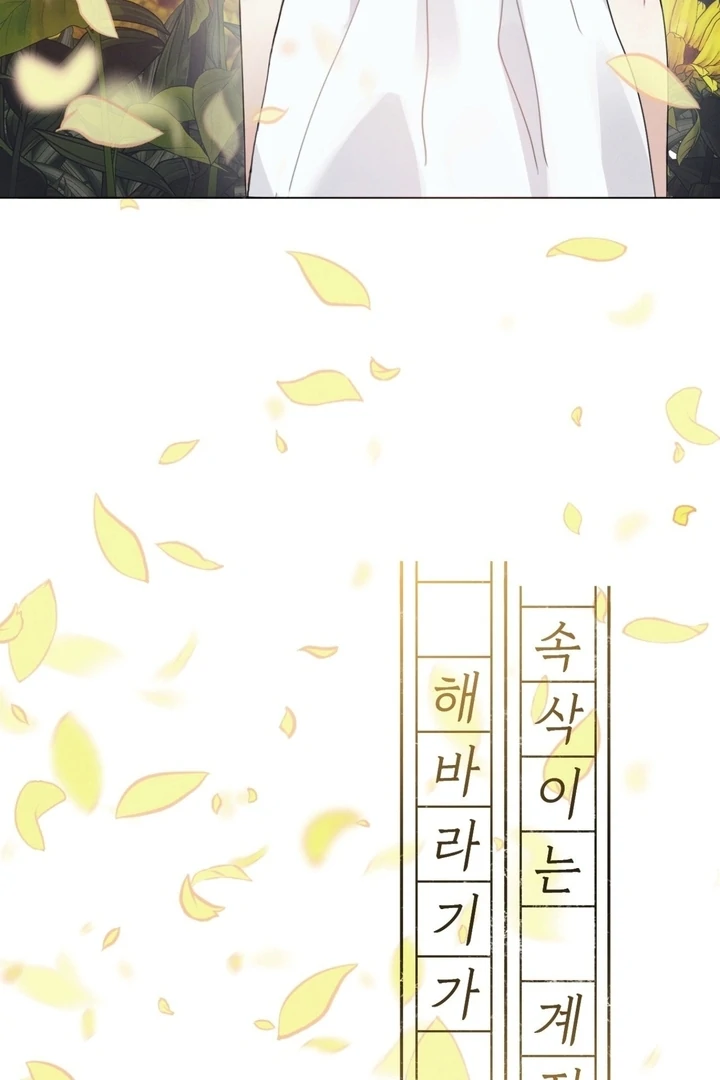 In the Season When Sunflowers Whisper Chapter 9 - page 20