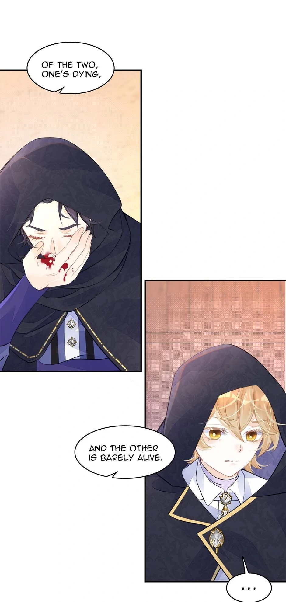 I’m Not the Villain’s White Moonlight! Chapter 36 - page 40