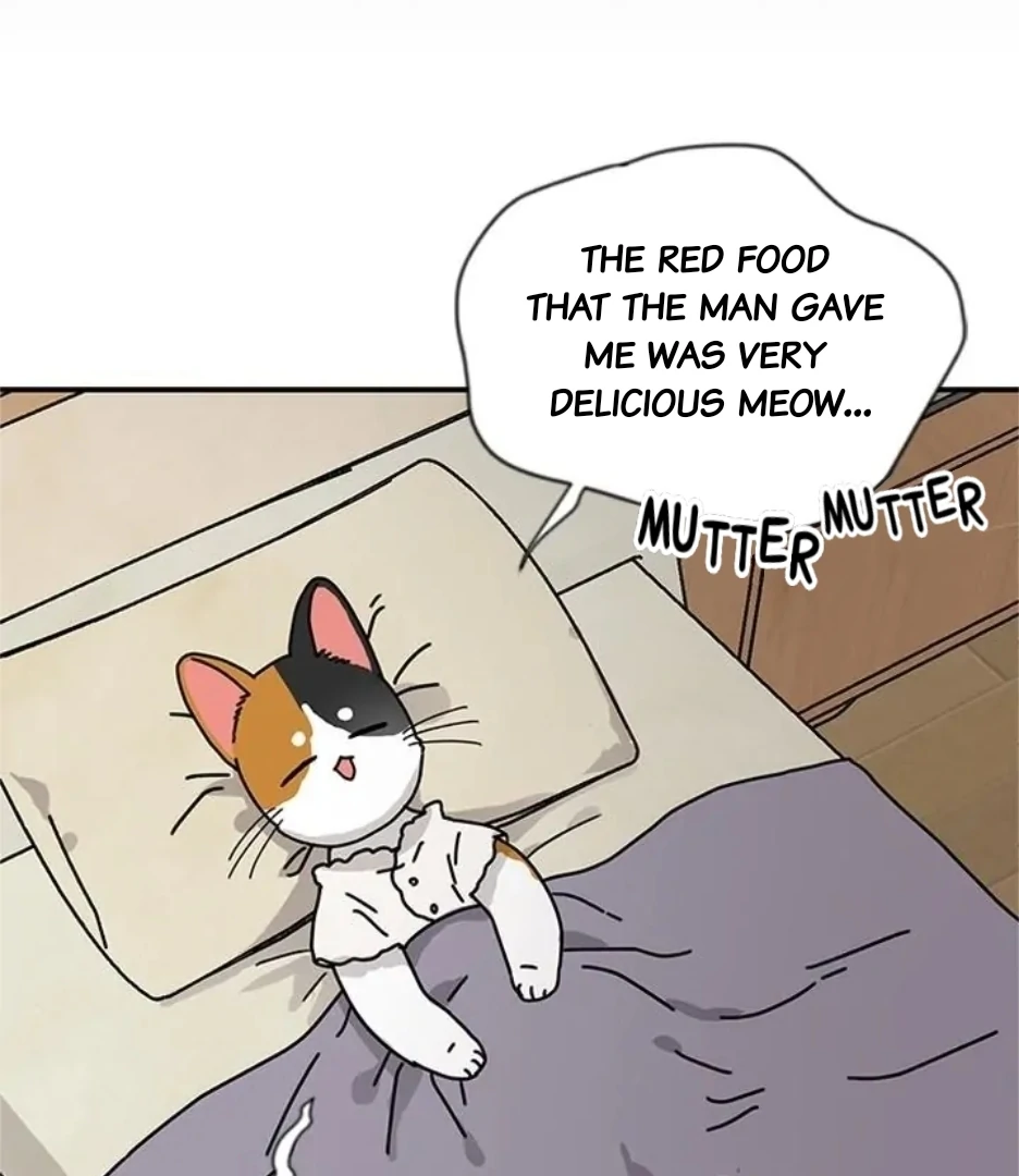 I Became the Chef of the Dragon King Chapter 80 - page 47