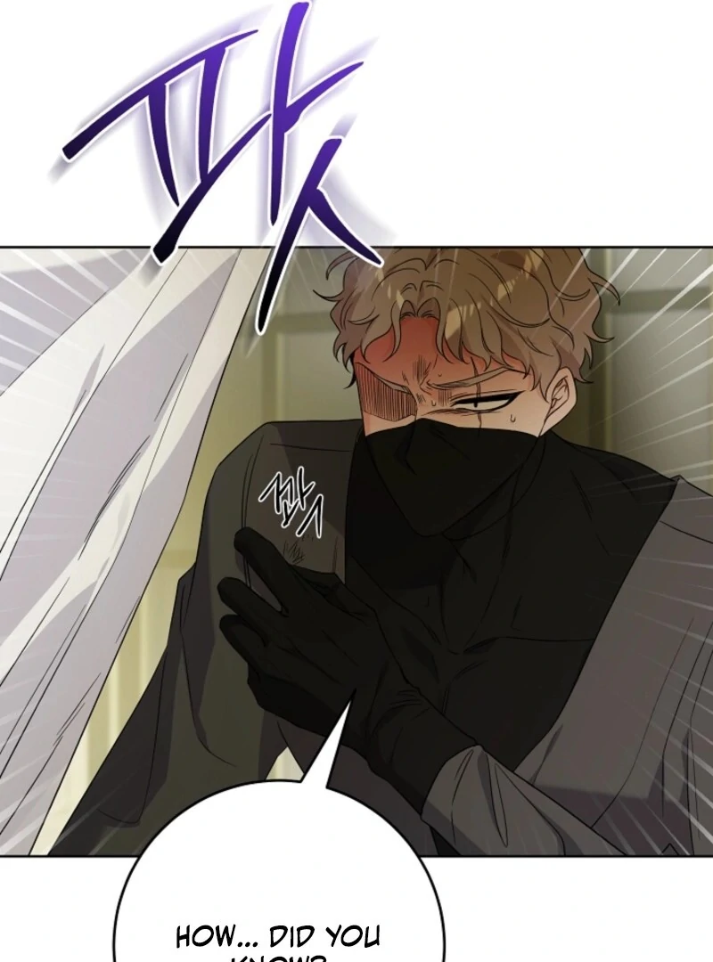 Hiding the Archduke's Humiliating History Chapter 96 - page 37