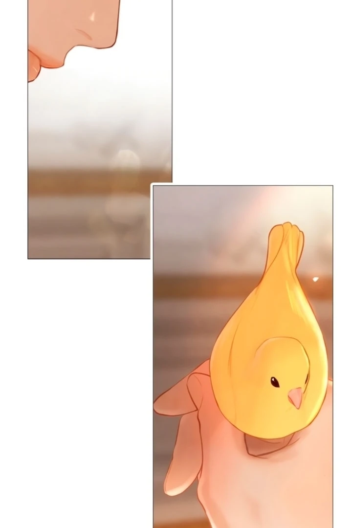Cry, Even Better If You Beg Chapter 68 - page 46