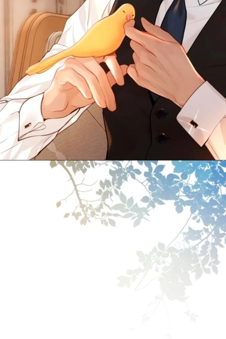Cry, Even Better If You Beg Chapter 68 - page 8