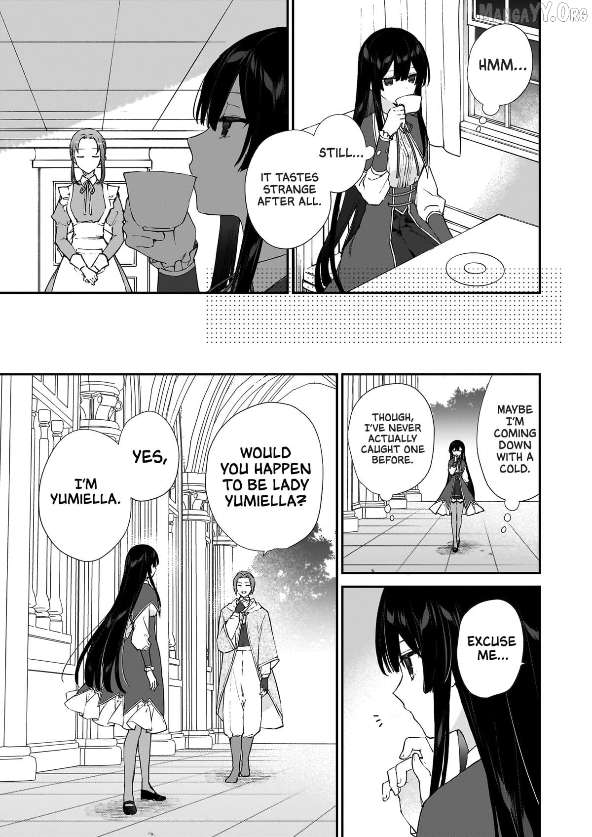 Villainess Level 99 ~I May Be The Hidden Boss But I'm Not The Demon Lord~ Chapter 24 - page 5