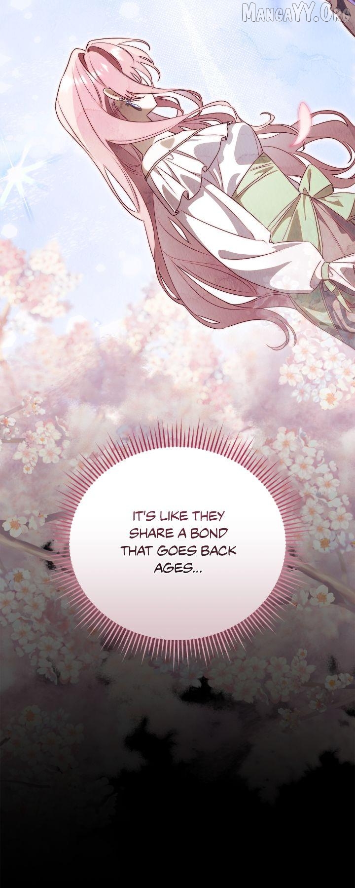 How To Reject My Obsessive Ex-Husband Chapter 84 - page 45