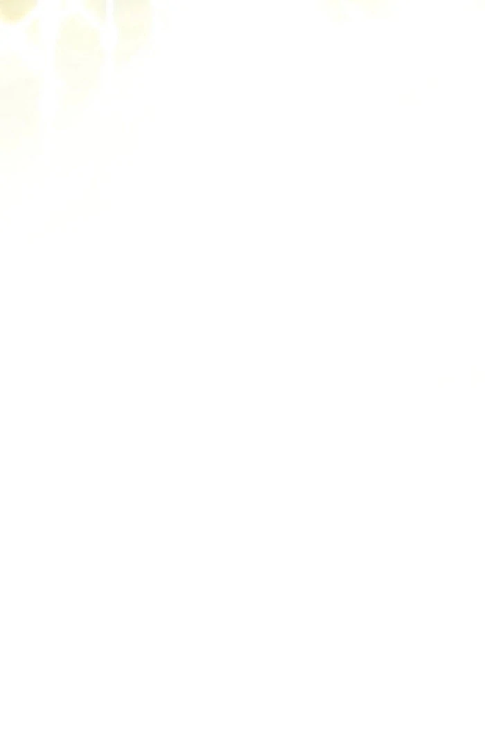 Masked Knight Will Never Deceive The Villainess Chapter 36 - page 11