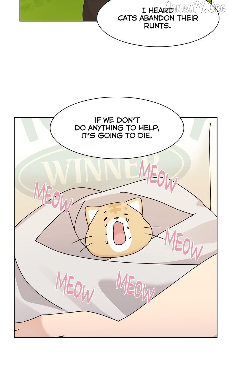 The Dog Diaries Chapter 239 - page 32