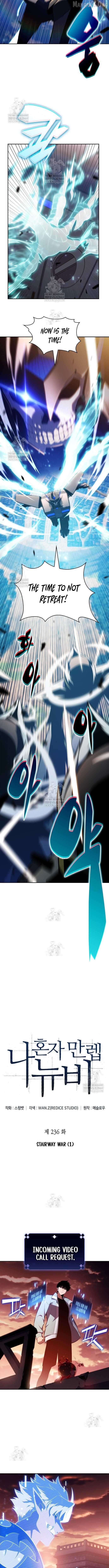 Solo Max-Level Newbie Chapter 236 - page 3