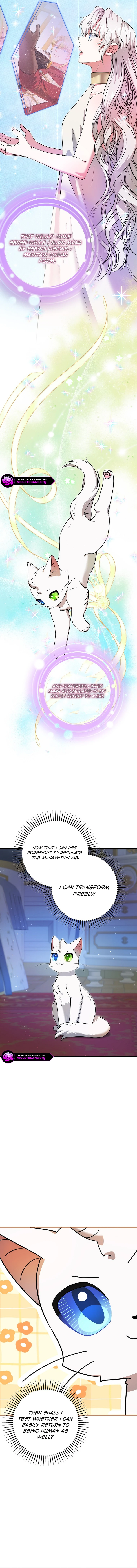 I Became the Emperor’s Cat Chapter 72 - page 11