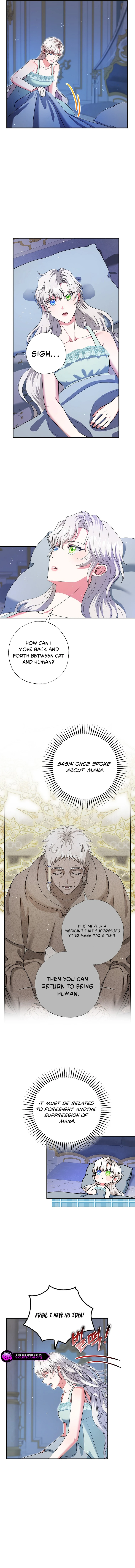 I Became the Emperor’s Cat Chapter 72 - page 8
