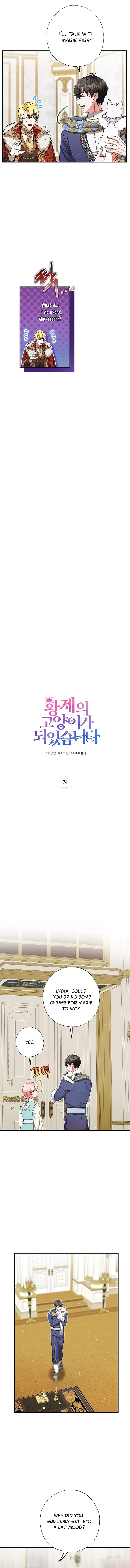 I Became the Emperor’s Cat Chapter 74 - page 5