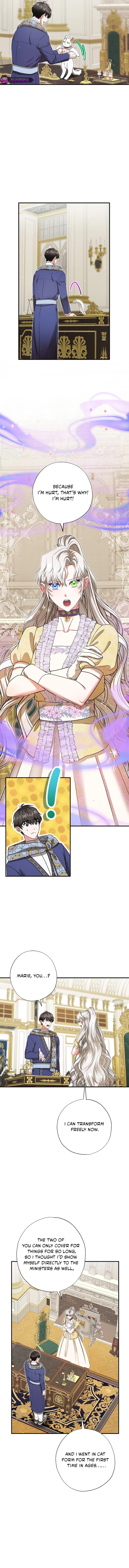 I Became the Emperor’s Cat Chapter 74 - page 6