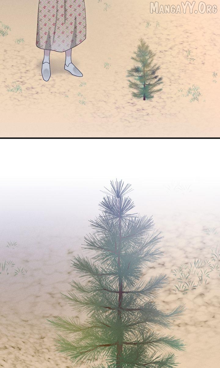 Sorang's Flower Art Shop【Official】 Chapter 36 - page 22