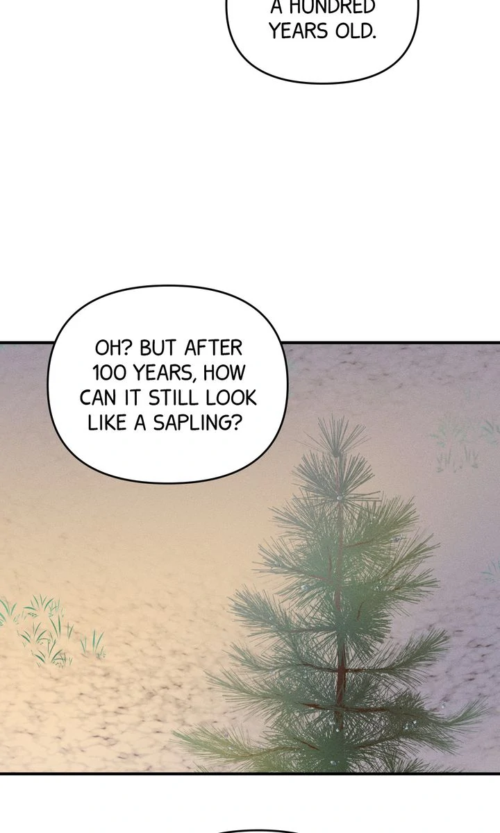 Sorang's Flower Art Shop【Official】 Chapter 36 - page 31